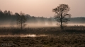 077_Biebrza - kwiecien 2012